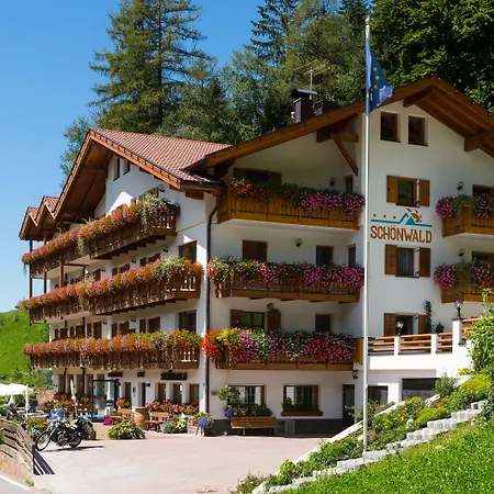 Aktiv Hotel Schoenwald-2
