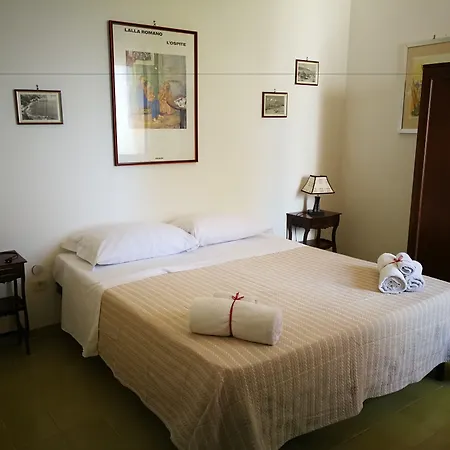 Il Sogno di Vincenzo e Maria-2