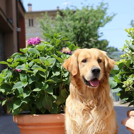 I Fiori di Margherita Luxury B&B-3