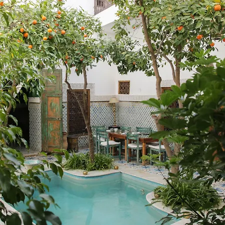 Riad Yamina52-3