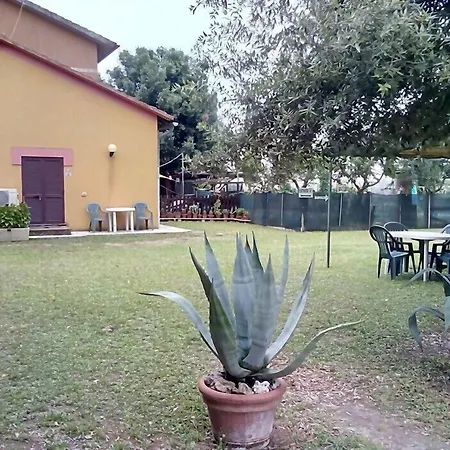 Il Gelsomino-3