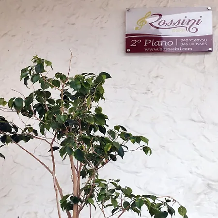 B&B Rossini-3