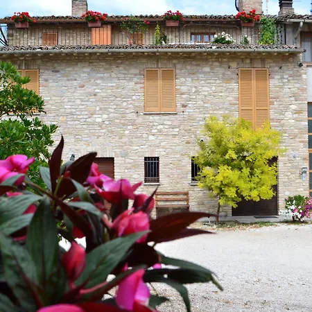 Camere I Monelli-2