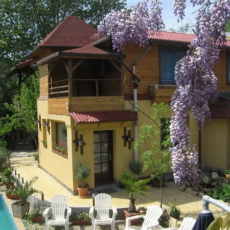 Casa Mica Guesthouse-3