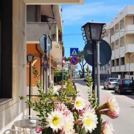Hotel Blurelda-3