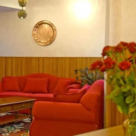Hotel Viola-2