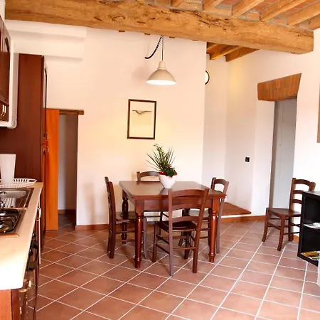 B&B Stradivari-3
