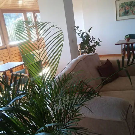 Pension Fellis-3