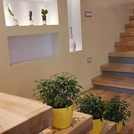 Green Guest House-2