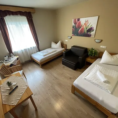 Hotel Karin-3