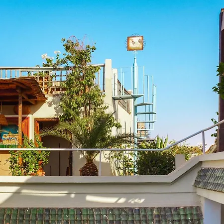 Riad Le Coq Berbère-2