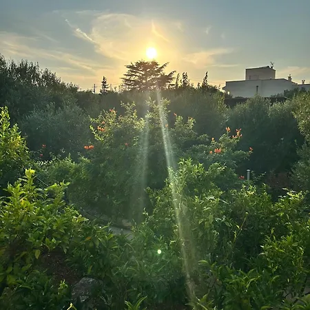 B&B Antico Carrubo-3