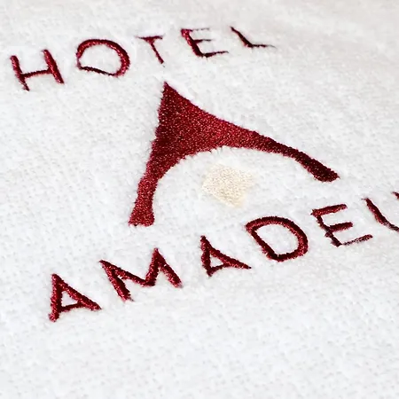 Hotel Amadeus-2