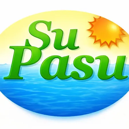 Su Pasu-3