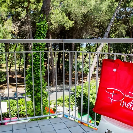 Park Hotel Pineta-2