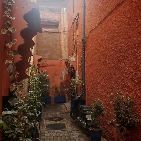 Riad Jolie-2
