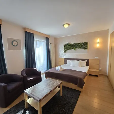 Decebal Residence Apartments-2