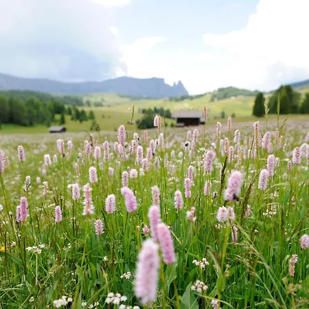 Naturresidence Dolomitenhof-2