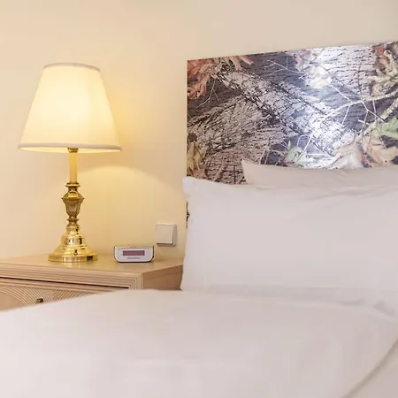 Hotel Am Schloss Koepenick By Golden Tulip-2