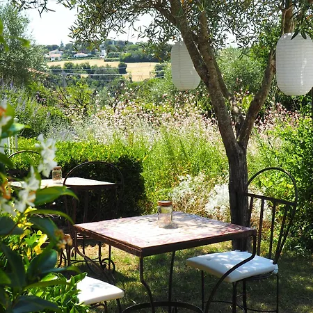Aura Relais-3