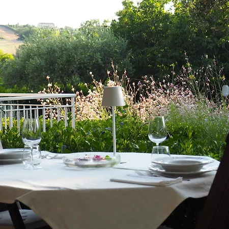 Aura Relais-2