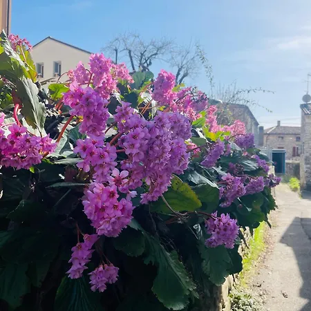 Borgo Cortivi b&b-3