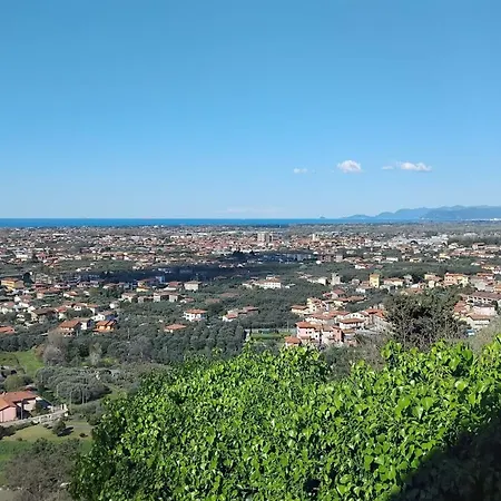 Belvedere 10-3
