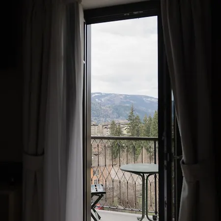 Hotel Orso Grigio-3