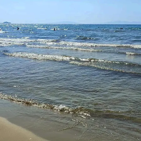 Alla Meria-3