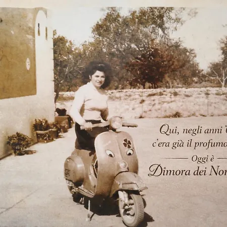 Dimora dei nonni 199-3