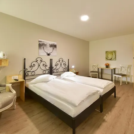 Hotel Hirschen-3