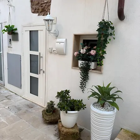 Agrimi B&B-3