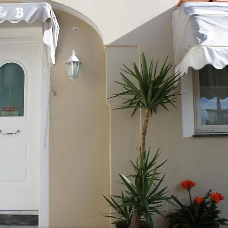 B&B Raggi d'Ischia-2