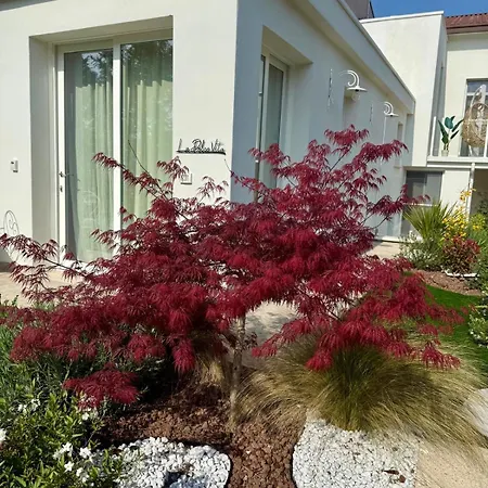 La Presentosa B&B-3