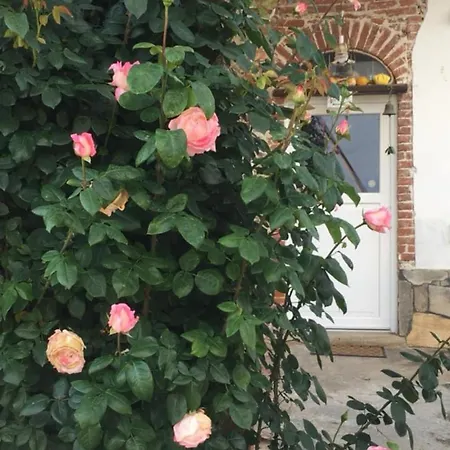 B&B Cm Ranch-3