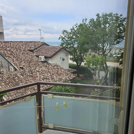 Hotel Ariella-3