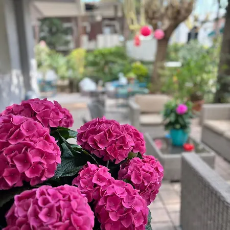 Hotel Gianlore-3