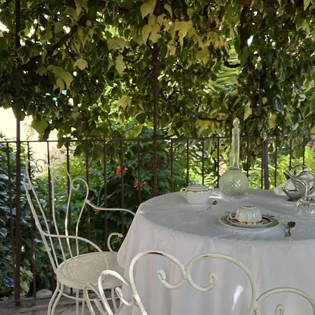 Le Foglie Di Acanto-2