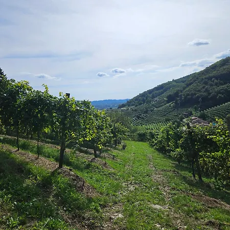 Le Zitelle di Ron-2