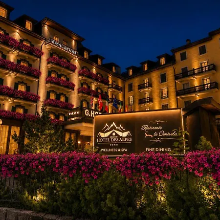 G. Hotel Des Alpes-2