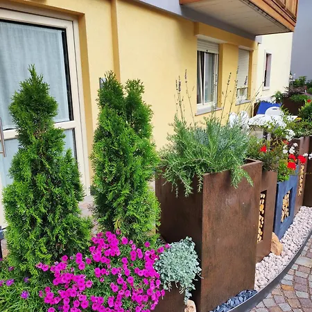 Residenza Alba-2