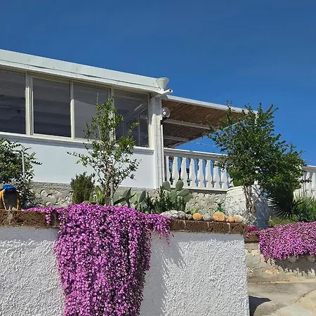 B&B Dimorangel-3