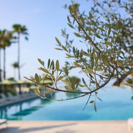 Grecotel Filoxenia Kalamata-3