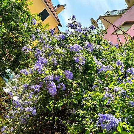 Perla Nera Guesthouse-3