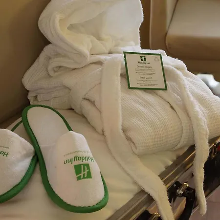 Holiday Inn Turin Corso Francia By Ihg-3