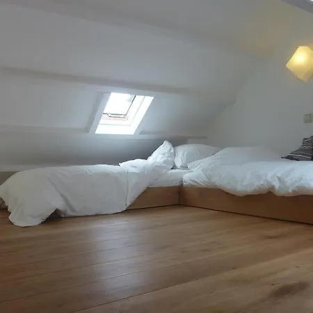 B&B Bloom-2