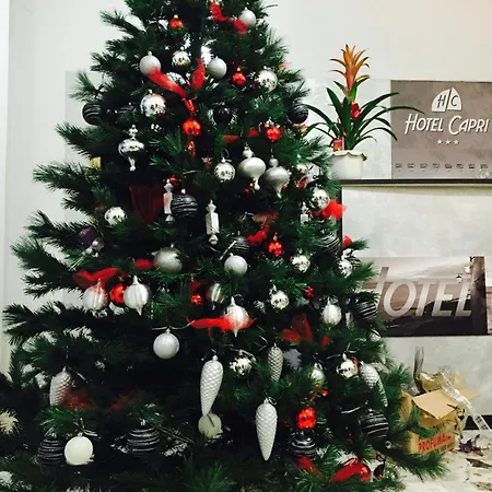 Hotel Capri-2