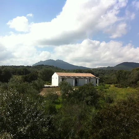 Nacchinono-2