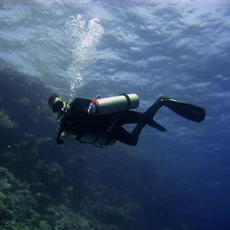 Oonas Dive Club-3