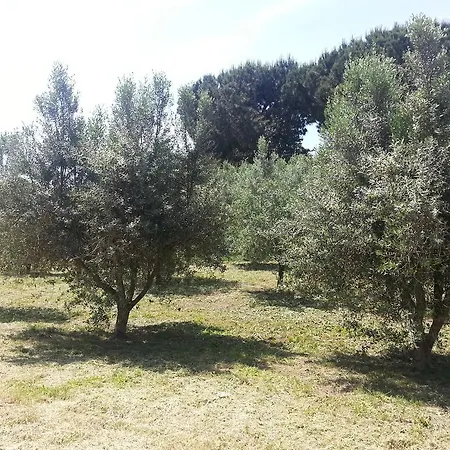La Finestra Sul Cortile-3